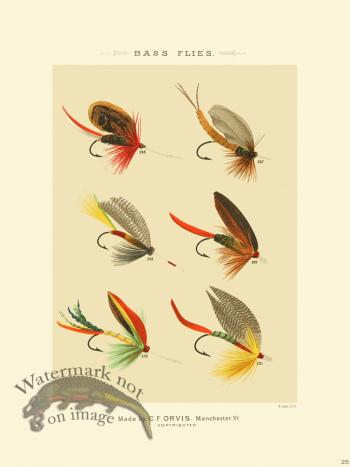 Favorite Flies 25 Bass